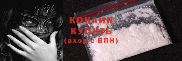 шишки Сатка