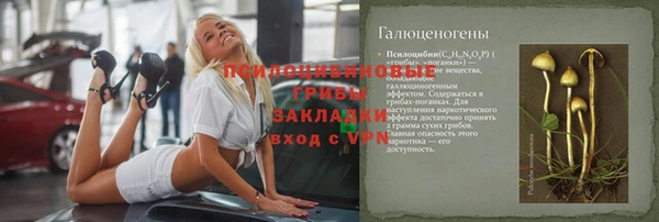 молекула духа Семёнов