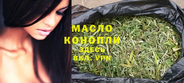 молекула духа Семёнов