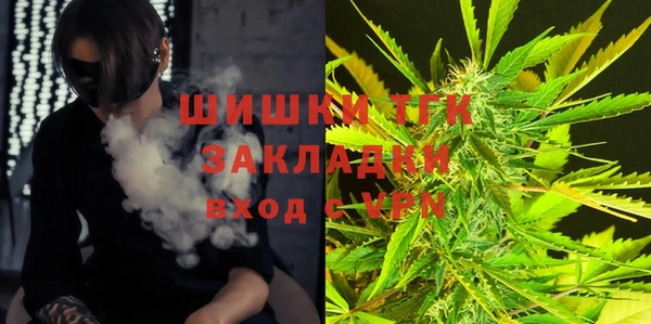 шишки Сатка