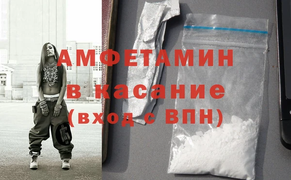 шишки Сатка