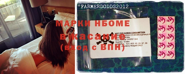 шишки Сатка
