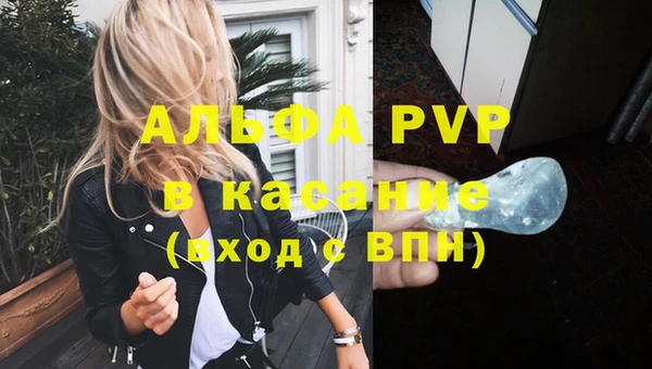 шишки Сатка