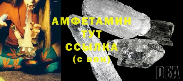 шишки Сатка