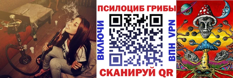Псилоцибиновые грибы Cubensis  Яхрома 